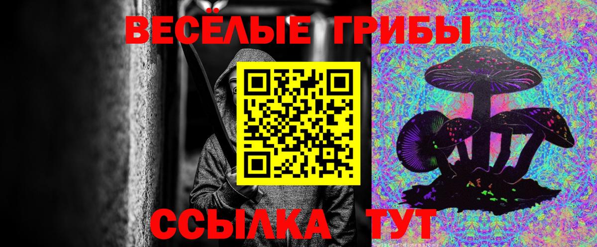 Галлюциногенные грибы GOLDEN TEACHER Борзя