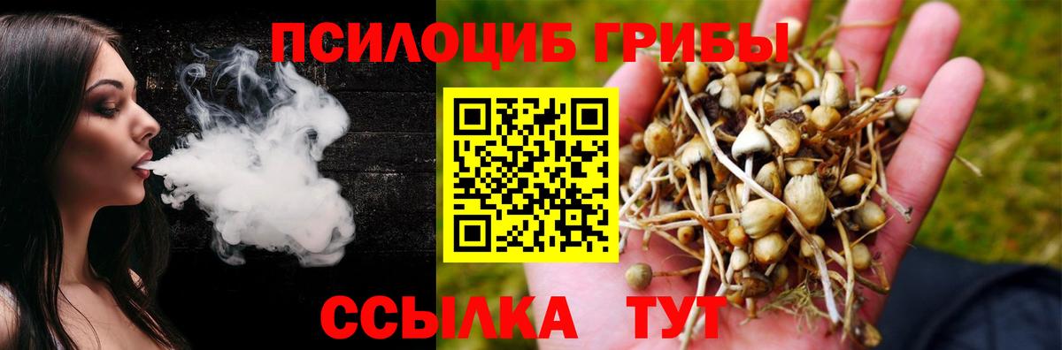Галлюциногенные грибы Cubensis  где продают наркотики  Борзя  Вход с VPN 