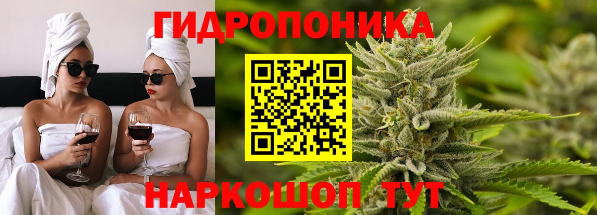 Бошки Шишки VHQ Борзя